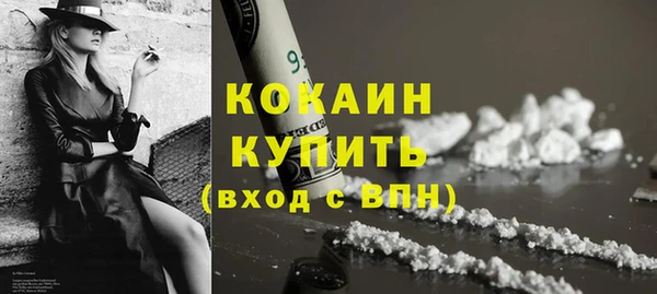 прущие грибы Богородицк