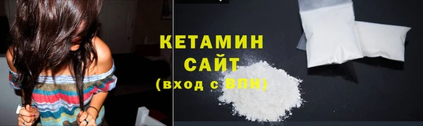 прущие грибы Богородицк
