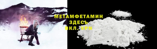прущие грибы Богородицк