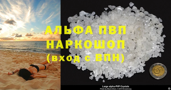 прущие грибы Богородицк