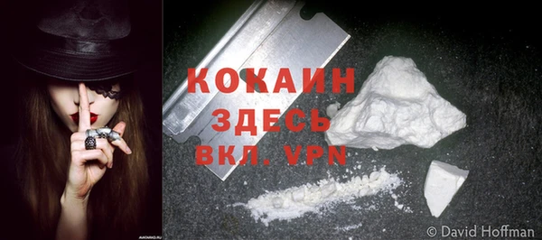 прущие грибы Богородицк
