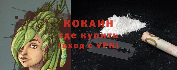 прущие грибы Богородицк