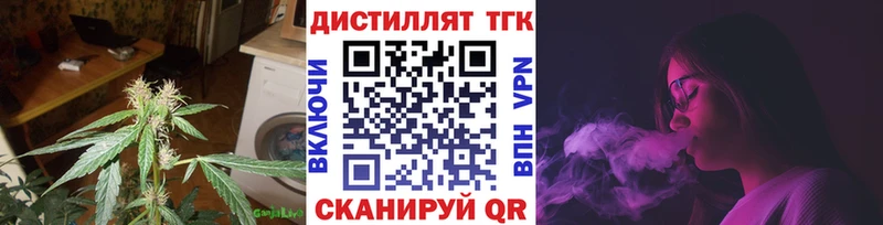 ТГК Wax Динская